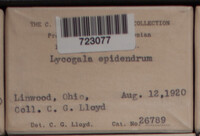 Lycogala epidendrum image